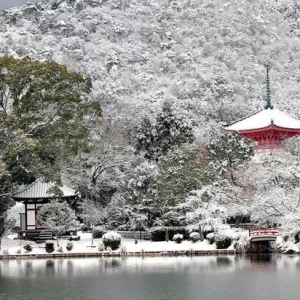 世界太浮躁 去京都的寺院听雨看枫静静心