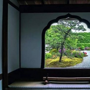 都说日本庭院美 你真的看懂了吗？
