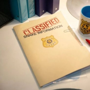 看《疯狂动物城2》也能启发你的冬日妆容新灵感！