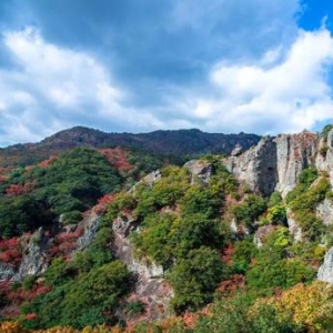 错过等三年 2019濑户内艺术祭“全攻略”