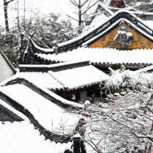 一下雪 苏州就成了姑苏